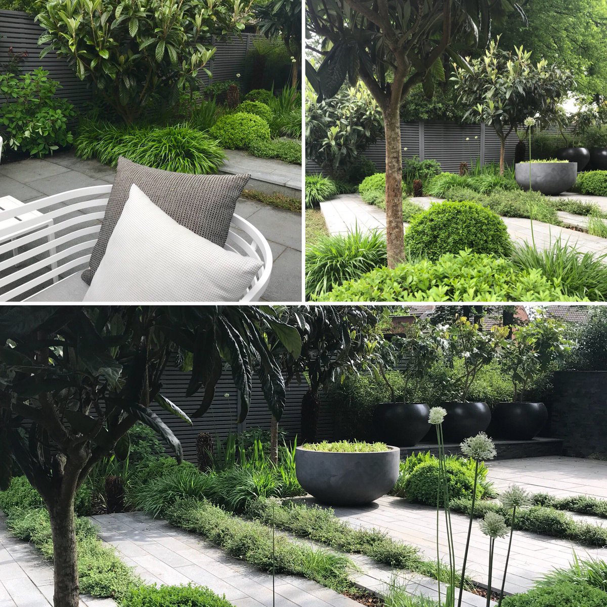 Out this week visiting some of our gardens completed with our wonderful  #aftercare team this one in #Newbarn #kent #garden #shadygarden #green #granite & #greys #gardendesign #plankpaving #statementpots #simple #palette #citybowl await #dicksonia to unfurl #eriobotryaJaponica