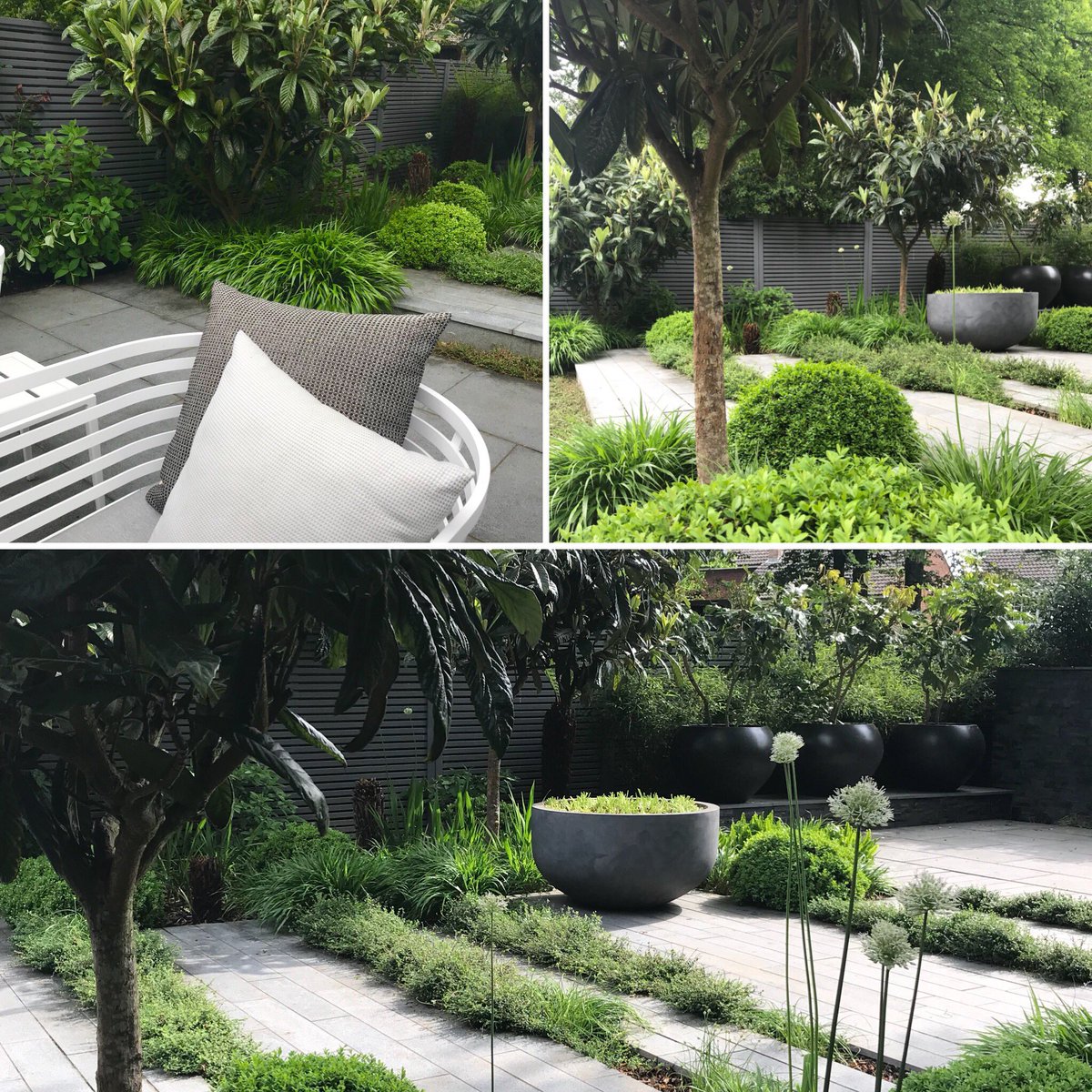 greencube_uk's tweet photo. Out this week visiting some of our gardens completed with our wonderful #aftercare team this one in #Newbarn #kent #garden #shadygarden #green #granite & #greys #gardendesign #plankpaving #statementpots #simple #palette #citybowl await #dicksonia to unfurl #eriobotryaJaponica https://t.co/McTirIjUa6