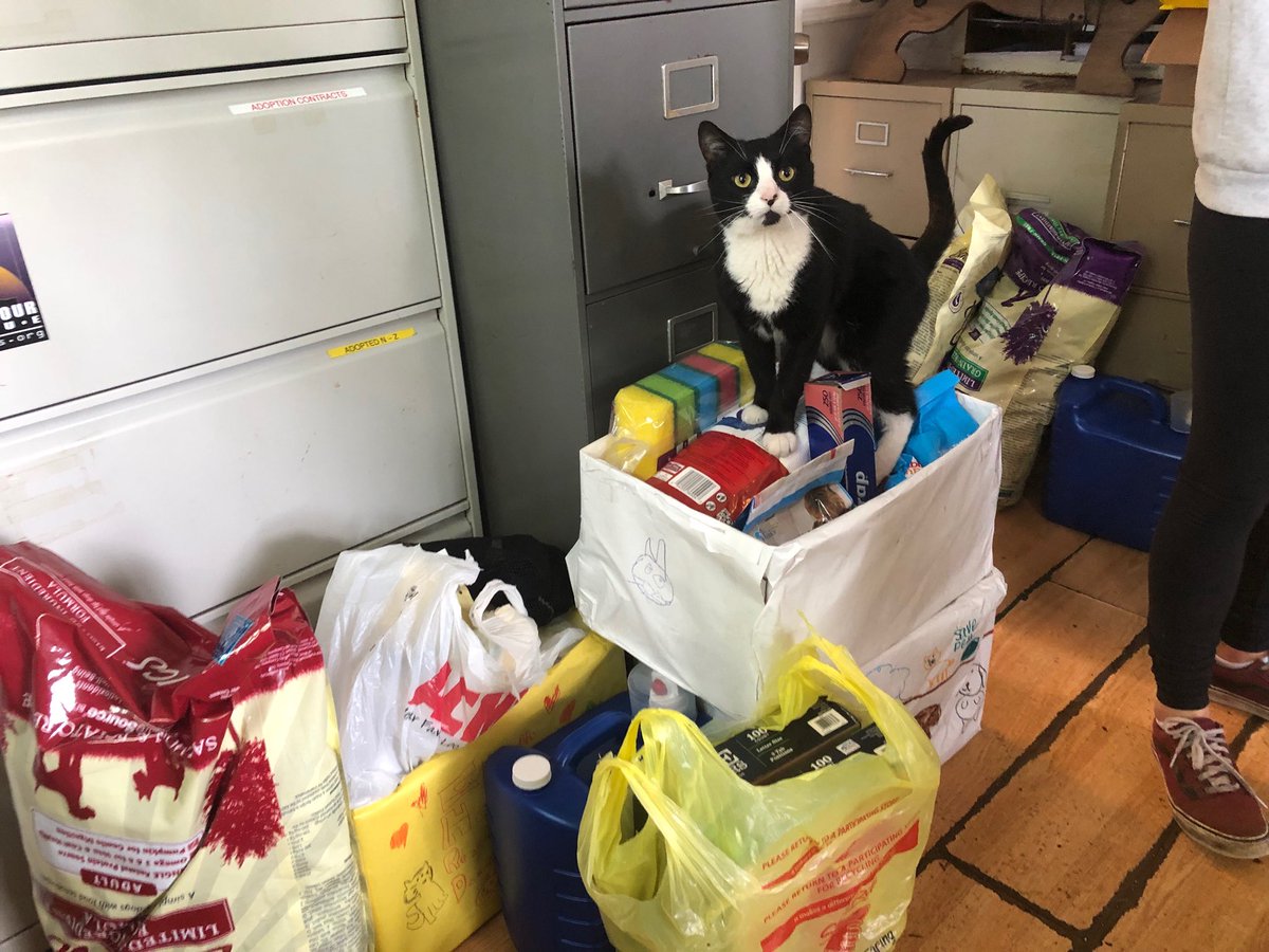 CGgrade2's tweet image. Spreading kindness throughout Randolph today, putting smiles on faces. @CenterGroveES