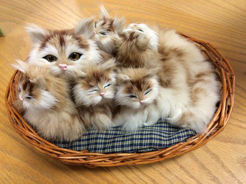 meowonb's tweet photo. Cat puzzle for cat lovers- Only one in 100 can beat the puzzle’s second challenge ! 
https://t.co/LTtIk97RDU https://t.co/qEKrALEfIK