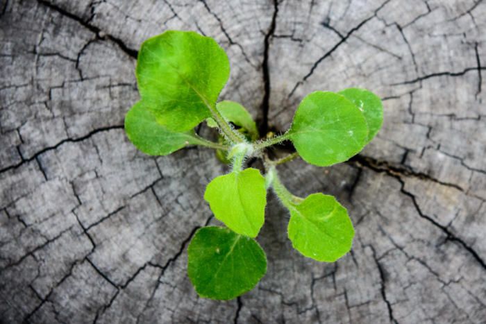 serviceberryone's tweet photo. Revitalizing ITSM with a new ITIL framework
Interesting read: https://t.co/iGFDhFI2Tk
#ITSM #ServiceManagement #IT #ITIL #ITIndustry #ITILFramework https://t.co/0VNpFOPz3w