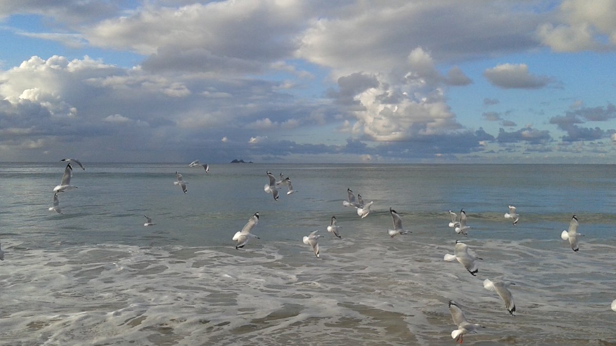 TovaPayne's tweet photo. How to ride the waves of life with more ease - https://t.co/YzclTBnshP https://t.co/Xsw7kE8gZC