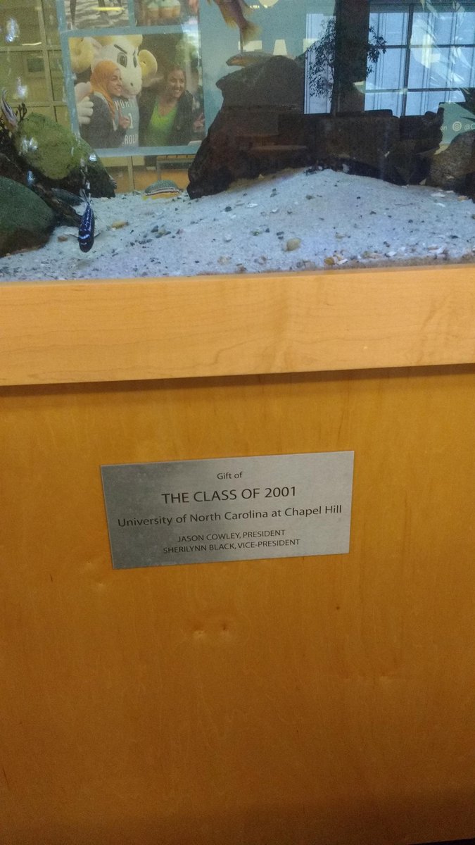 Patrick Brandt tweet media