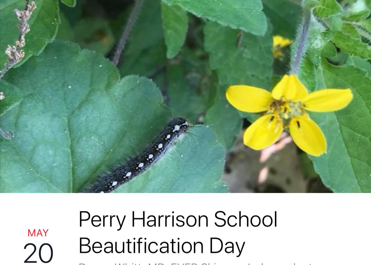 Come join us Sunday, May 20 (9-3pm) for Beautification Day at PHS!