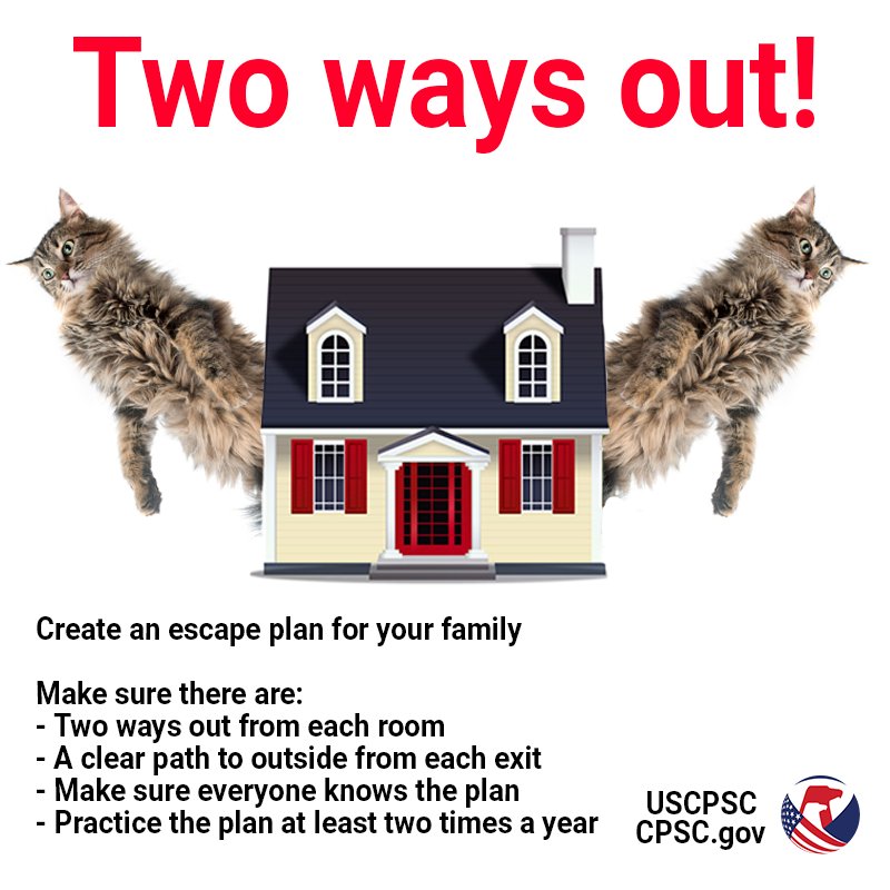 Two cats jumping out either side of a house. The text reads: Create an escape plan for your family. Make sure there are: Two ways out from each room, a clear path to outside from each exit, make sure everyone knows the plan, practice the plan at least two times a year.