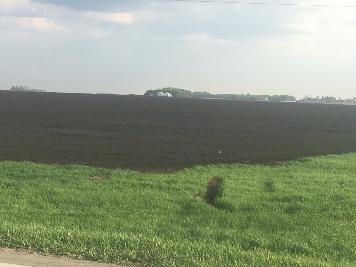 SoilLorax's tweet photo. Historical perception was a #goodfarmer tilled the field black. There were many reasons for that. But most are no longer valid. I hope I can help change the too much tillage tradition. #soilerosion #coverthesoil https://t.co/a1GbOZg26B