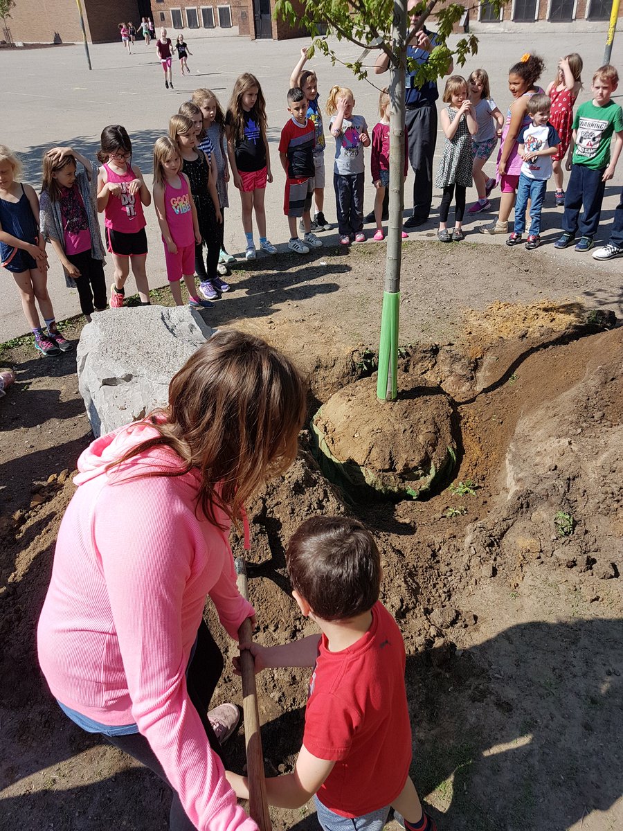 kgkinders's tweet photo. We are so excited to help plant our new maple tree that green team raised money for this year! @ON_EcoSchools @GEDSB @KatieLMHash https://t.co/LiJp7vUCUx
