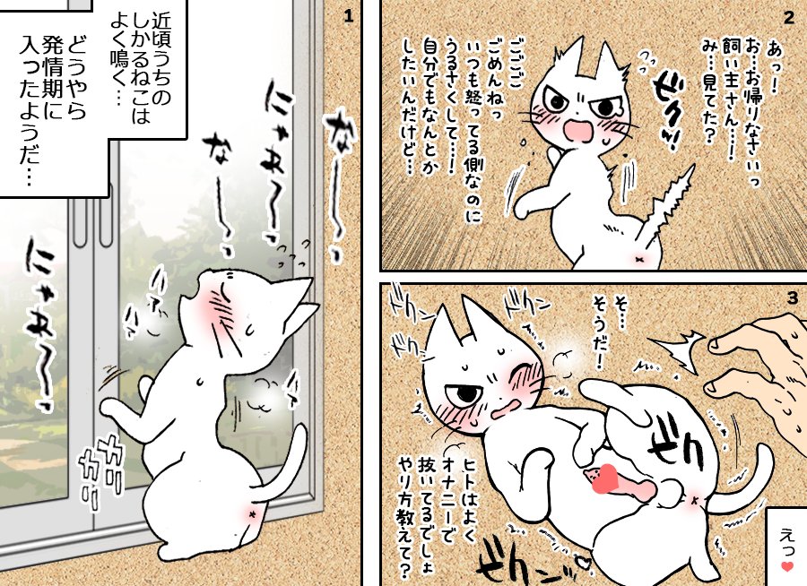 天国 遺産 シーズン ねこ 毛布 オナニー Chichibuno Soba Com 天国 遺産 シーズン ねこ 毛布 オナニー Chichibuno Soba Com