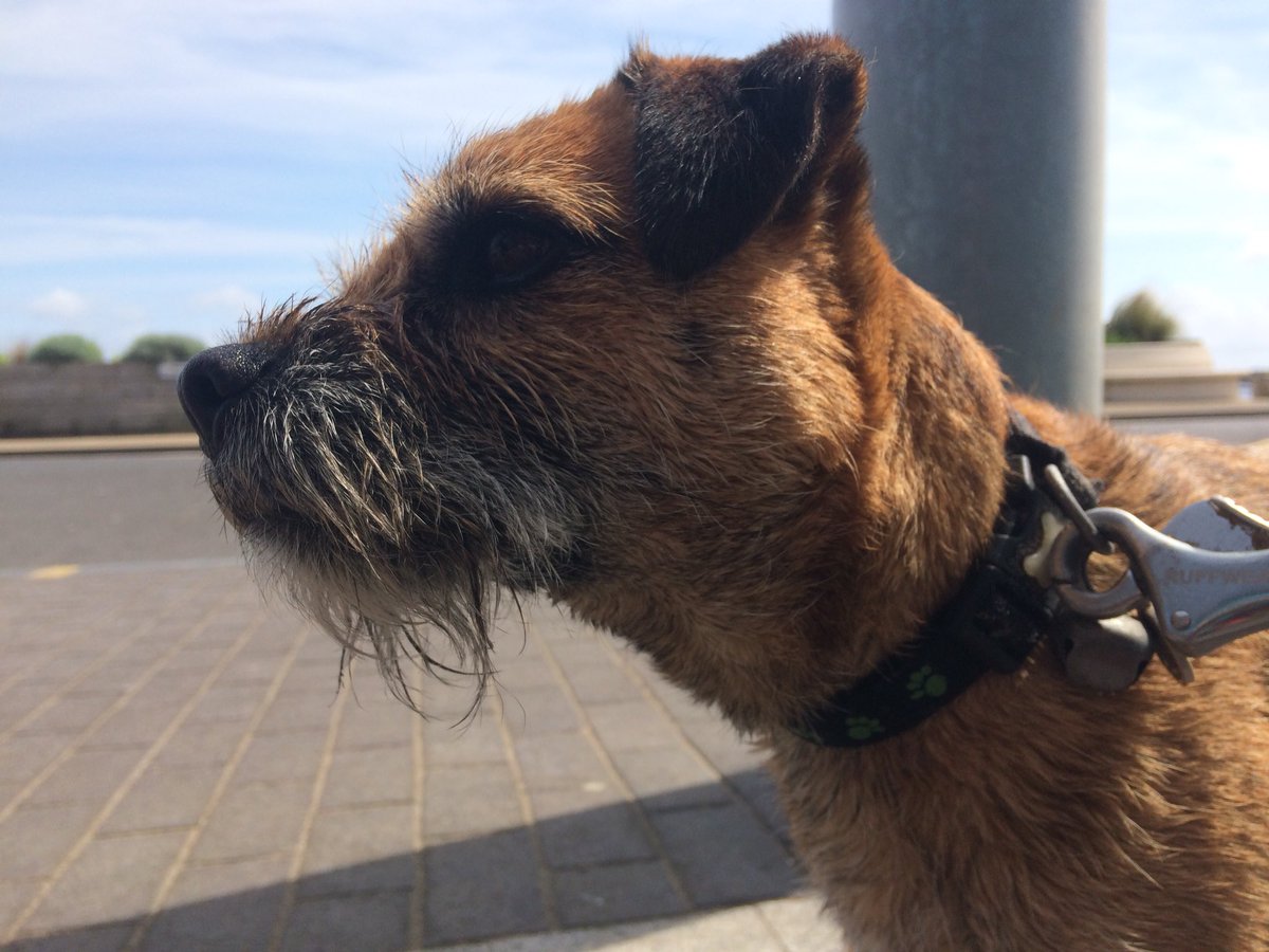 Bakingbugcakes's tweet photo. Eagerly awaiting #sausagethursday at @faustocoffee https://t.co/sw1lmdynW2