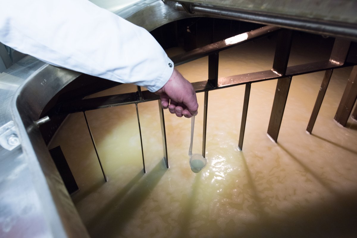 BritCheeseAward's tweet photo. Awards countdown: #cheesemakerday The milk then enters the cheesemaking process and is produced to our own unique recipe in small batches @omsco @wykefarms #ADayInTheLife #BODC #BCA18 https://t.co/bbhGzZBZC6