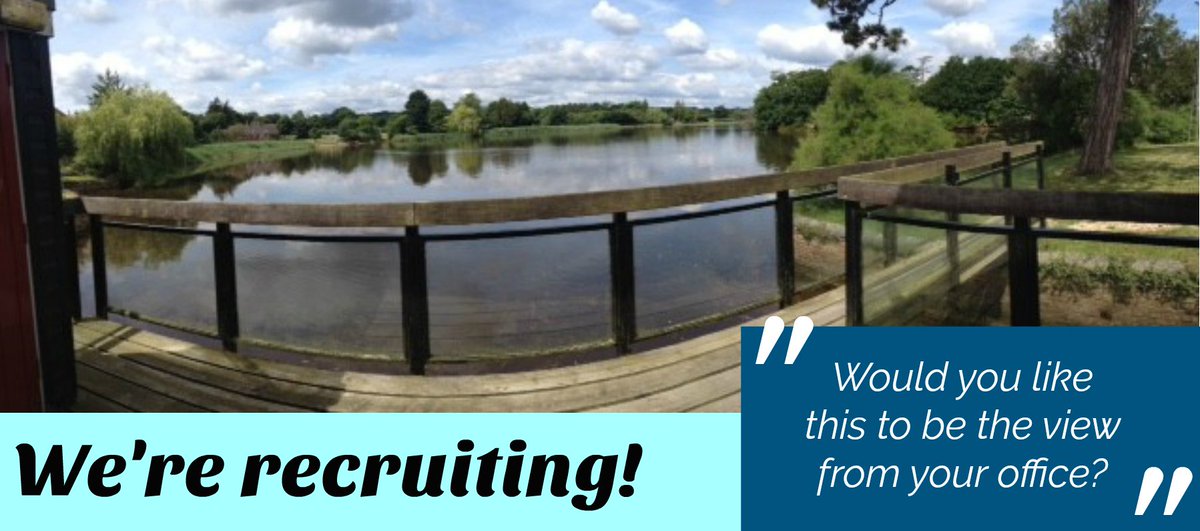 Exciting new job opportunity at Chichester Trees and Shrubs - mailchi.mp/29dd9453d01b/e…