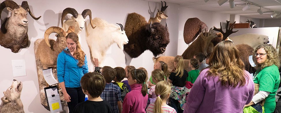 FSUNewsServices's tweet photo. It's a hidden gem. Find out more about the @FerrisState Card Wildlife Education Center: https://t.co/l7a3u5jSep #FERR1S https://t.co/kHQf0Jiurn