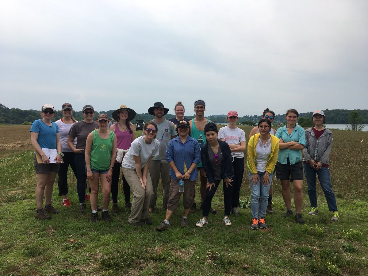 Sreejata116's tweet photo. #BiodegradableMulch field sampling day Spring 2018 ✅ an awesome crew and great teamwork @JennDeBruyn @seeMEEtweet @UnCafeConJose @SarKeeKee @UTAgResearch @USDA_NIFA #teamwork https://t.co/JCR2767Lxk