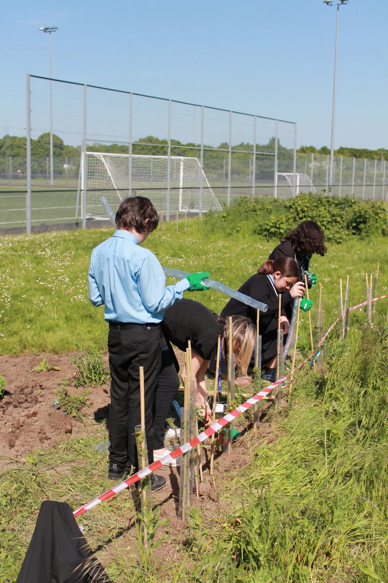 AMS_ScienceDept's tweet photo. Science Club have been busy helping to plant our new wildlife garden! https://t.co/3XTV1wZx9a