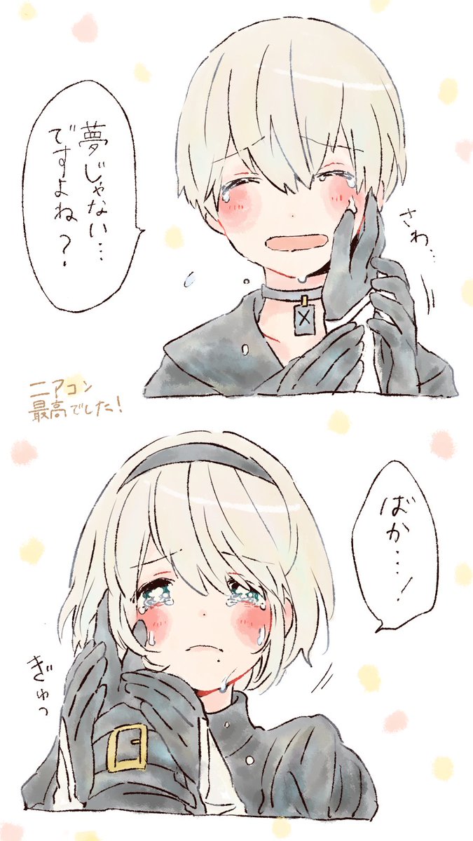 9Sと2B、イロイロ 