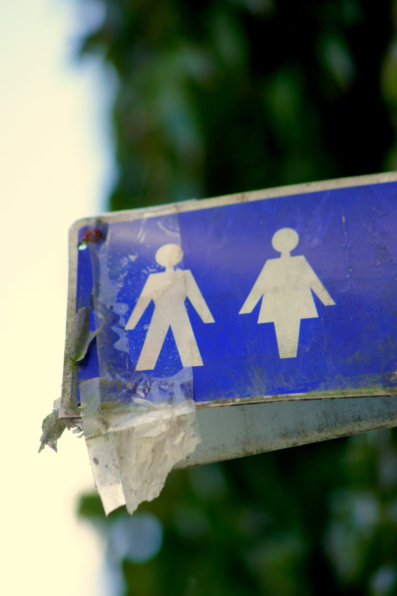 David V.D Smissen tweet media