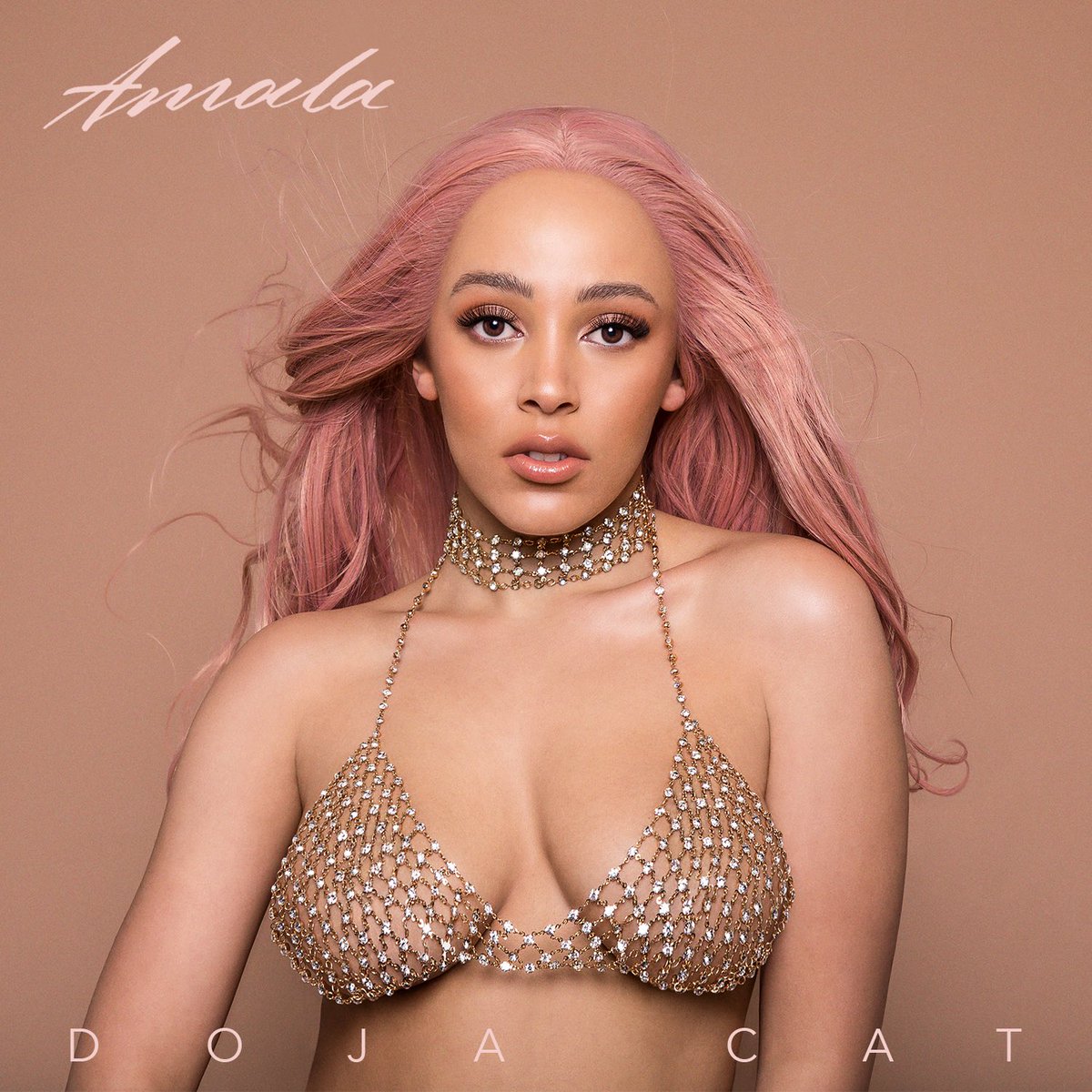 DojaCatBR's tweet photo. Qual é a faixa favorita de vocês do álbum "Amala"? https://t.co/rFSXGwkIOC