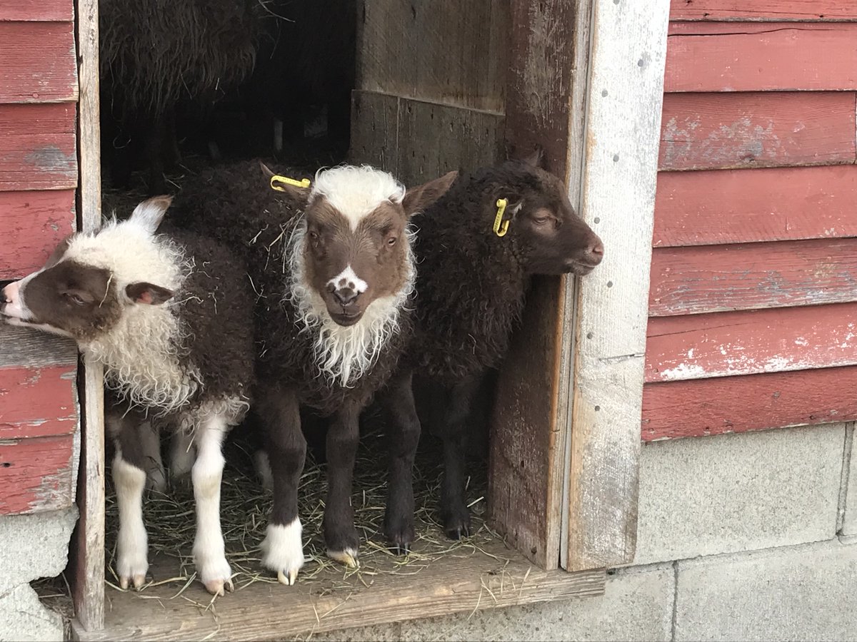 Sustainable Food Lab tweet media