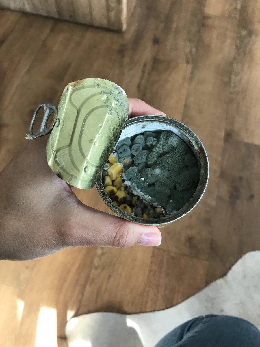 LuWyer1's tweet photo. @AldiUK I did a food shop at your Bridgnorth store this week and have gone to use the sweet corn I purchased and opened this... 🤢 think I’ll be sticking to @GreenGiant from now on... https://t.co/eUoZI6jlu4