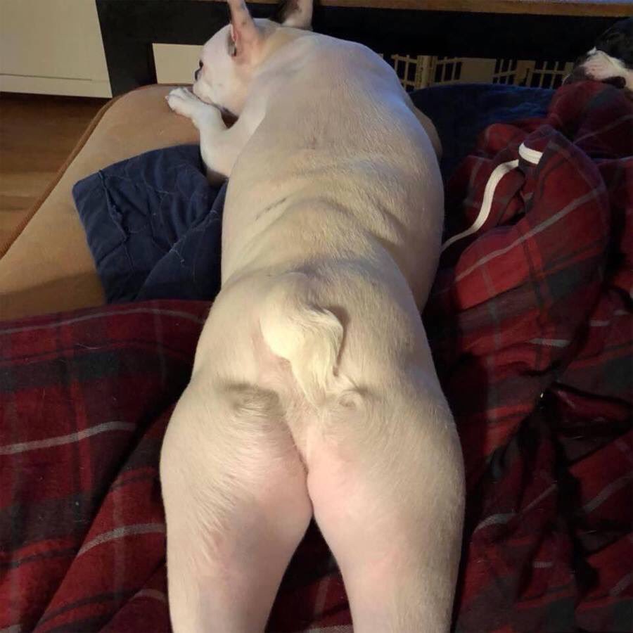 🌈พิ้ปุ๊นกะตะต้าของอิหยี tweet media