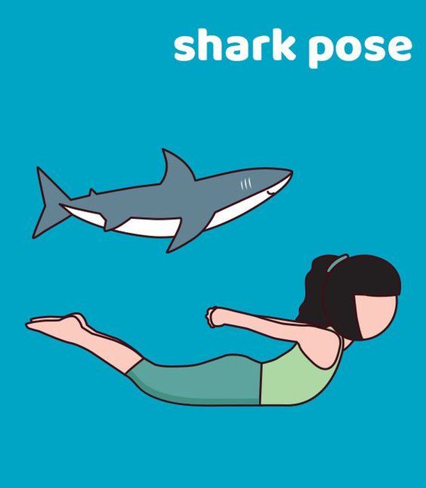 Laraellenh's tweet photo. Yoga poses for kids: Shark pose 🦈

#mindful #mindfulness #kidsyoga #yogaforkids #lifelonghealthyhabits #yogawithkids #sharkpose https://t.co/uFDT7O70L5
