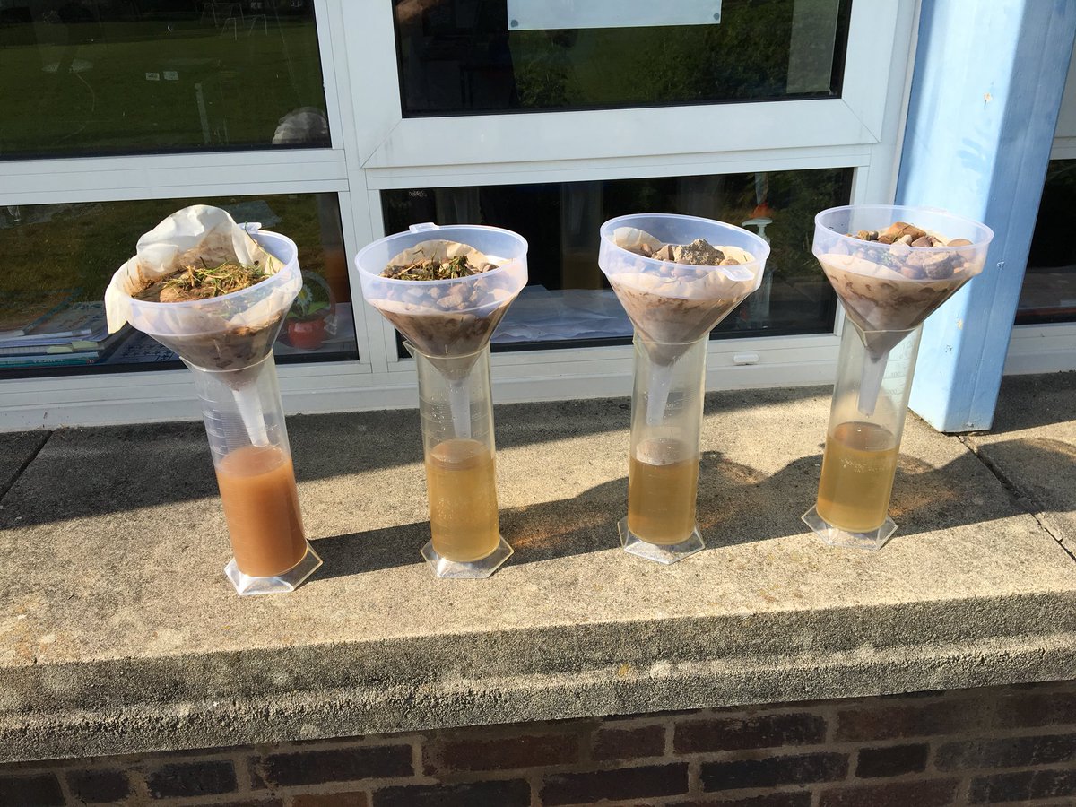 Lillington School Y4 tweet media