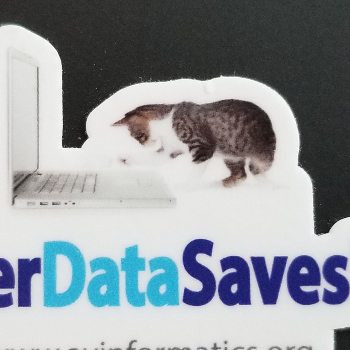sdennisdvm's tweet image. Join me to &quot;Avoid the most common veterinary board complaints with informatics!&quot; 3pm Room 2A. #BetterDataSavesPets #avinformatics