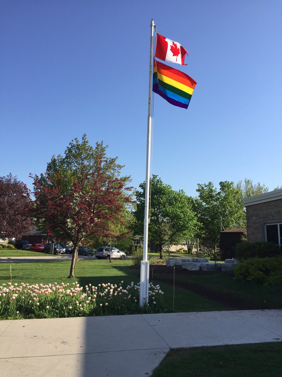 RCFI_library's tweet image. Today we recognize the international day against homophobia, transphobia and biphobia. #TVDSBinclusive #TVDSBRaisetheflag