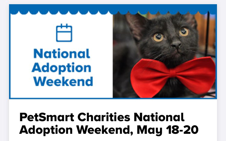 Come to PetSmart in Blakeney this weekend to meet your new best friend!!