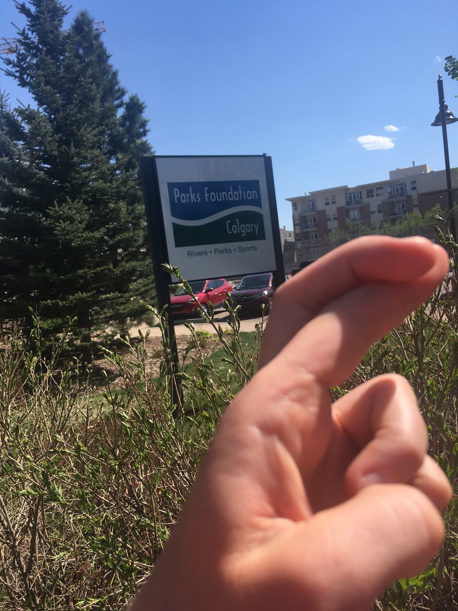 CalgaryRowing's tweet photo. Collectively crossing our fingers that our Amateur Sport Grant application with @ParksFdnCalgary will be accepted at the end of the year! How amazing would it be if we could purchase boats and oars for our growing rowing community in yyc? #rowing #calgaryrowing #yyc #equipment https://t.co/Ld0vlTvM8U