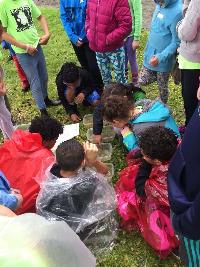 MegClendaniel's tweet photo. Rainy day fun! #lhepride https://t.co/562eoQ2hJn
