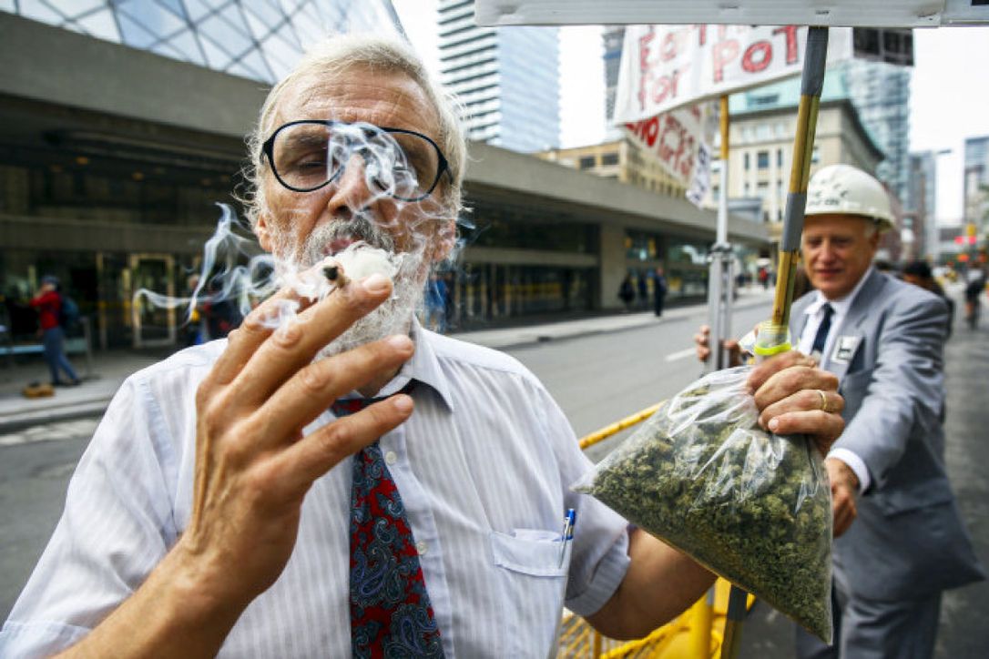revistaTHC's tweet photo. NUEVA YORK: NO ARRESTARÁN A QUIENES USEN CANNABIS EN LA CALLE: La inédita medida surgió por cifras oficiales que comprueban una disparidad racial en las estadísticas de detenciones callejeras, con latinos y afroamericanos en el 86% de las mismas.
Ver más:
https://t.co/ci9z2mF0dI https://t.co/Yj1jlRAW0L