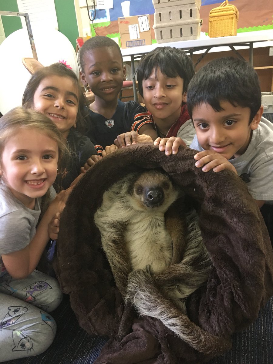 Shannon Lombardo tweet media