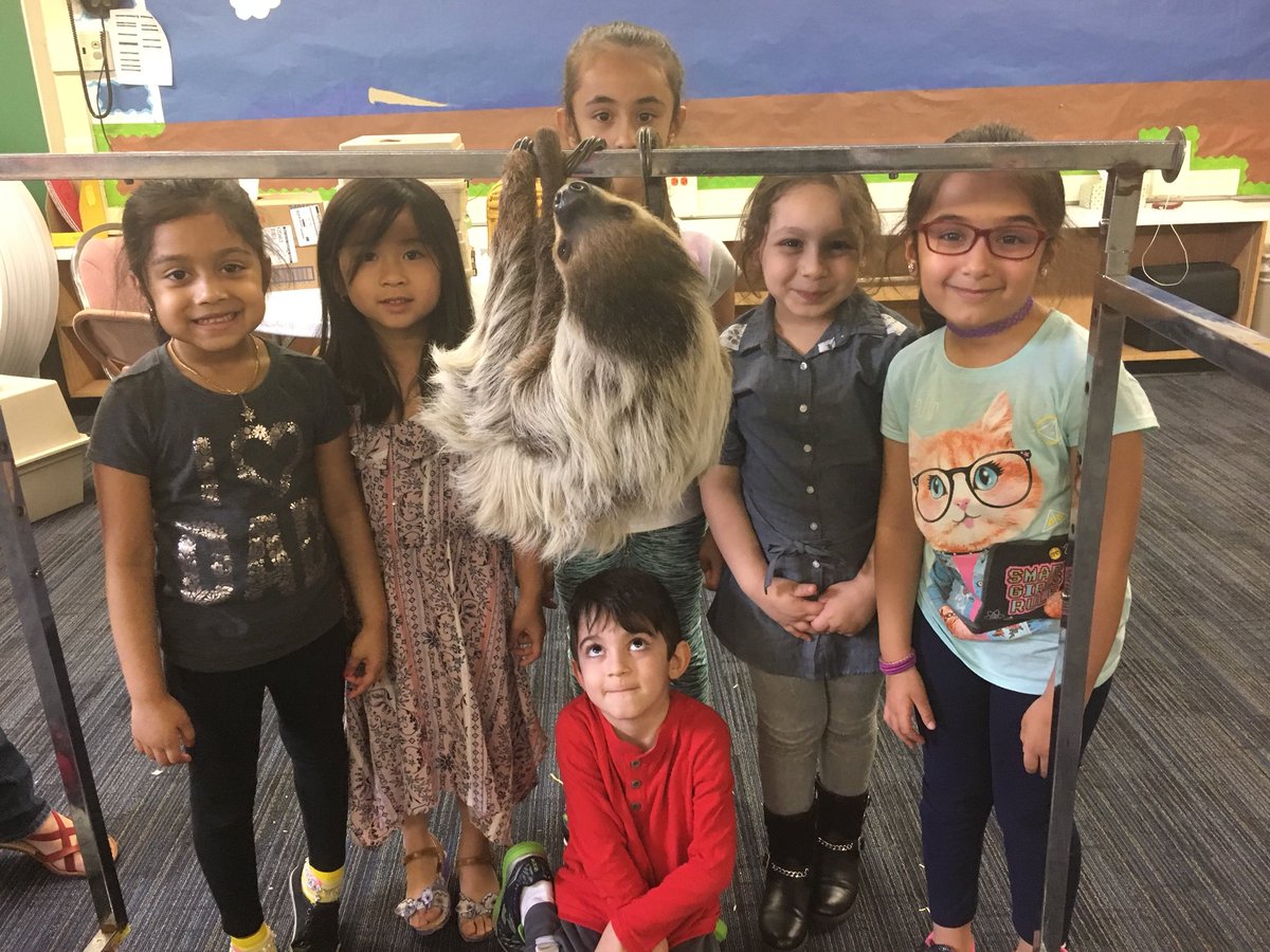 Shannon Lombardo tweet media