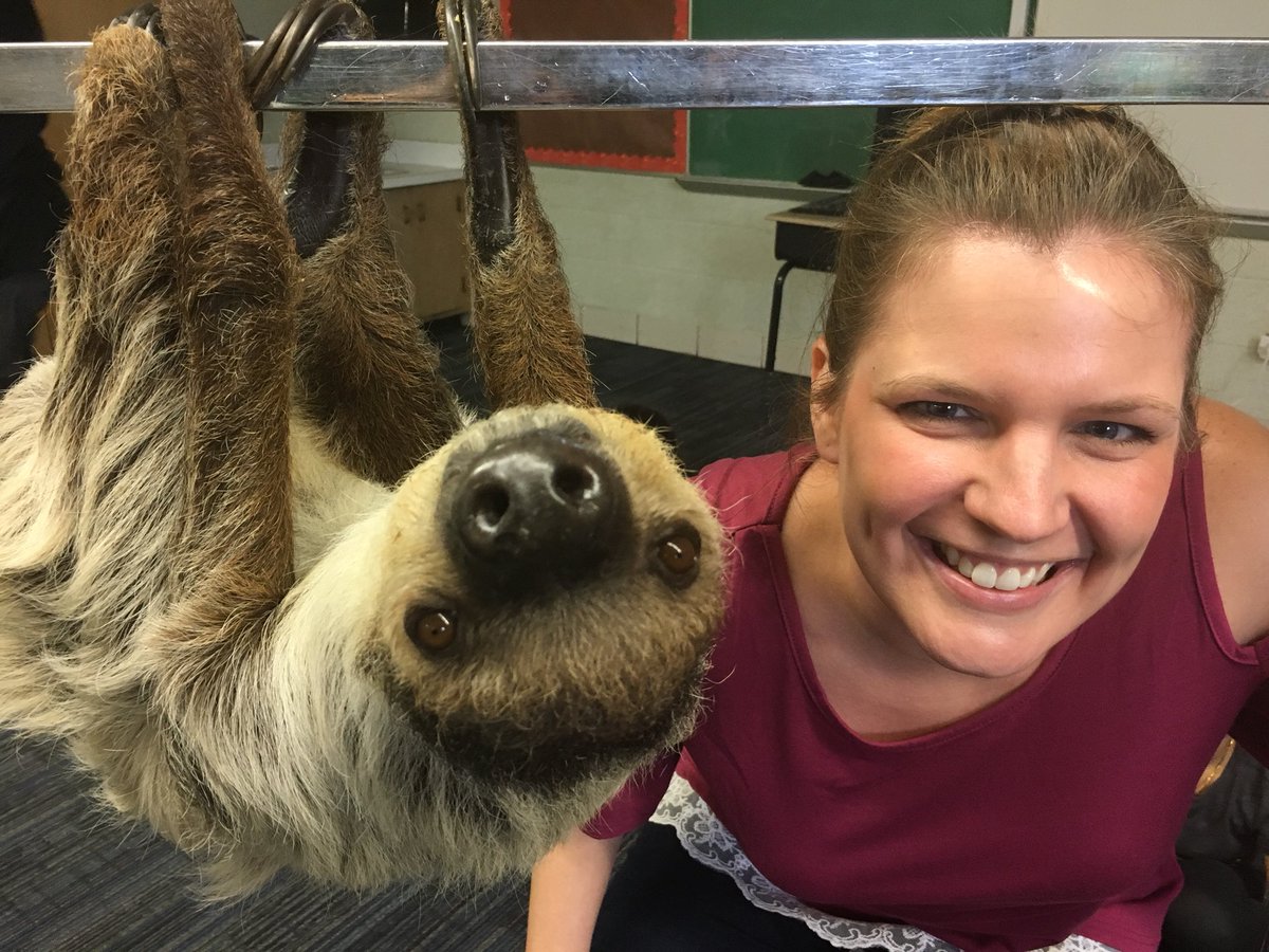 Shannon Lombardo tweet media