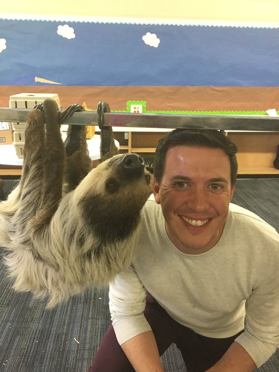 Shannon Lombardo tweet media