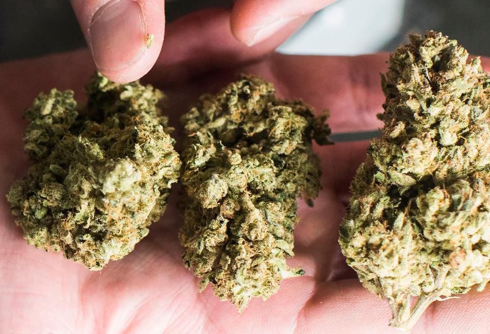 Forbes's tweet photo. How do marijuana strains and doses affect depression and anxiety?
https://t.co/ugK2Nk7yXD https://t.co/oPrQ7J0yuv