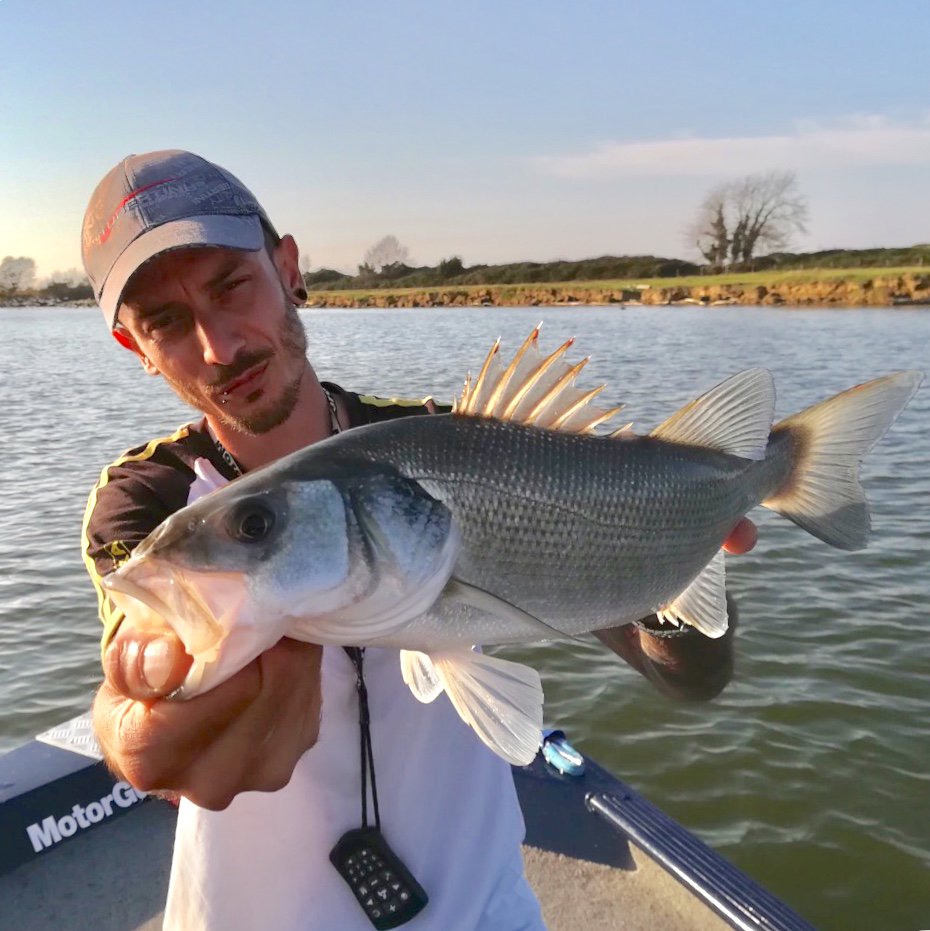 TubertiniHQ's tweet photo. #seika #tubertini #tubertinihighquality #seabass #lurefishing #fishing #seabassfishing #tomasosbrana https://t.co/doX837vjRB