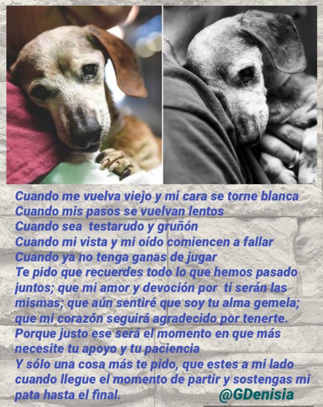 Gaby Denisia🎶🐾❤️🇲🇽 tweet media