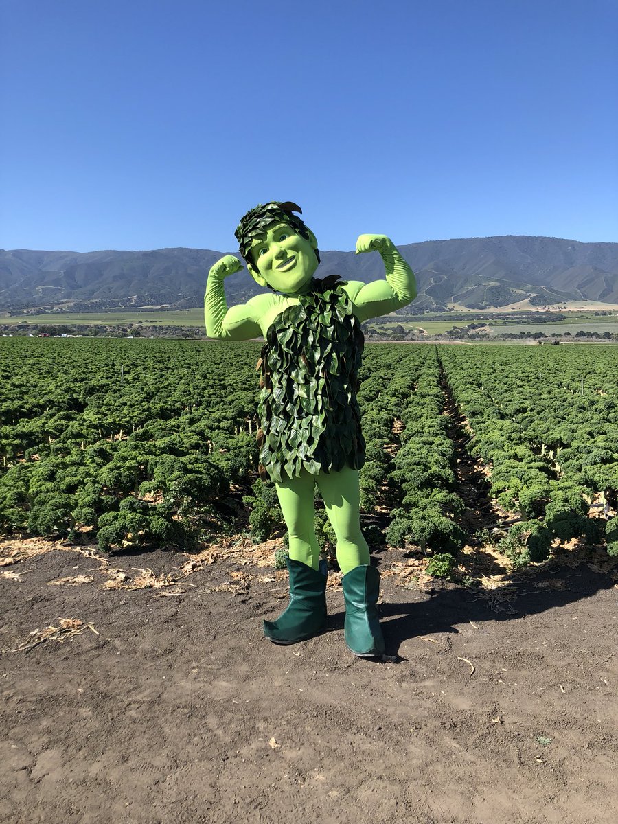 MichaelOblander's tweet photo. It's all ogre now https://t.co/wh9E9xM6o1