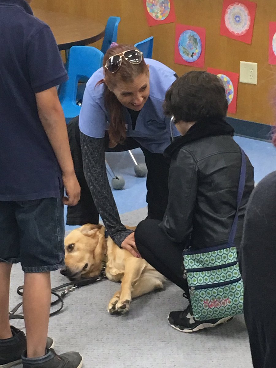 hanijyoussef's tweet photo. Career Day @ParkViewEl in #simischools THANK YOU @ErinTagg and the entire Park View staff for making this possible for kids. From radio DJ to veterinarian to nurse to electrician and the list goes on on, the possibilities are endless. From Here to Anywhere... https://t.co/F66JELotsj