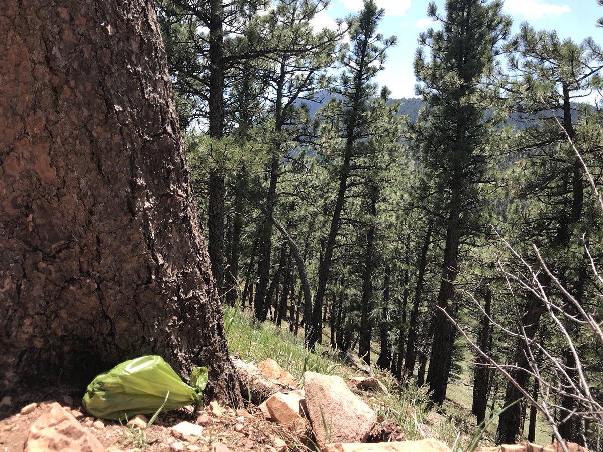 #scenicspotforapoo #bountythat colorado.bounties.network/bounty/v1/692 #pickupthepoop , #colobounties @ethbounties <a href="/bldrstartupweek/">Boulder Startup Week</a>