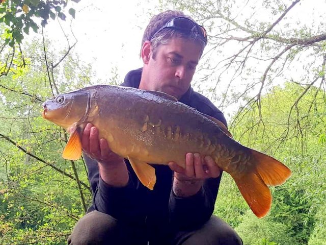 BigFishBaits's tweet photo. #BigFishBaits regular Paul Pardon putting #MilkOne Bottom Baits to good use and the matching glug over dog biscuit to take a few off the top. https://t.co/ZSVXZbIbaE