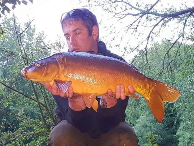 BigFishBaits's tweet photo. #BigFishBaits regular Paul Pardon putting #MilkOne Bottom Baits to good use and the matching glug over dog biscuit to take a few off the top. https://t.co/ZSVXZbIbaE