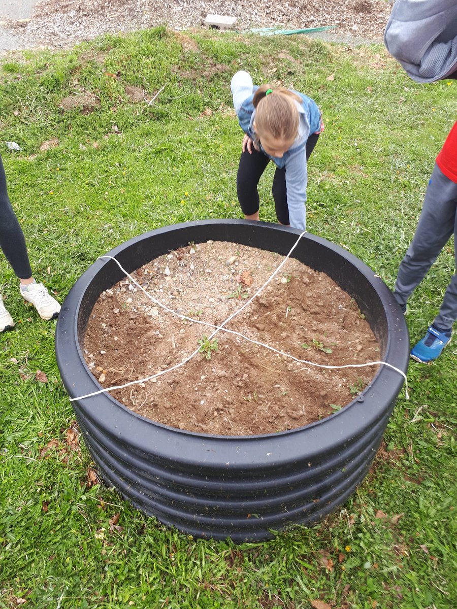 Johnratherton's tweet photo. @ssrsbwnes gr 5 class outside for @takemeoutside day.  Fractions in the woods and gardens!  @SouthShoreRCE @natmcmaster @GreenSchools_NS @cmayokim https://t.co/NyHHC13oJ0