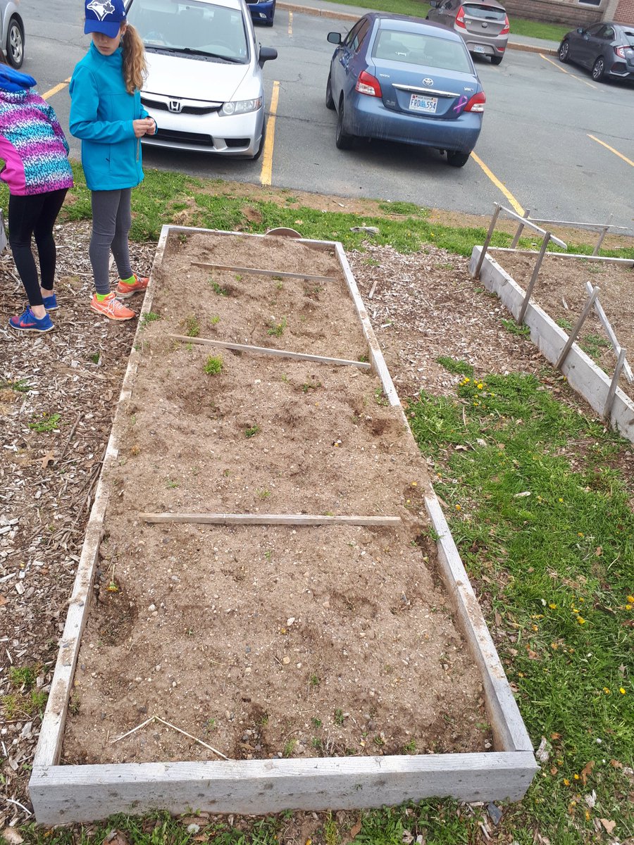 Johnratherton's tweet photo. @ssrsbwnes gr 5 class outside for @takemeoutside day.  Fractions in the woods and gardens!  @SouthShoreRCE @natmcmaster @GreenSchools_NS @cmayokim https://t.co/NyHHC13oJ0