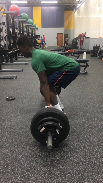 Sanford Sports Performance tweet media