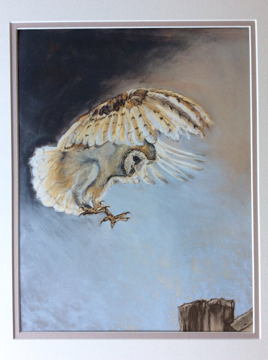 The Barn Owl is finished and ready for framing. Should I make cards from this one 🤔hope you like it!
#artistsontwitter #exhibitions #commissions #upperrissington #pastel #birdart #art