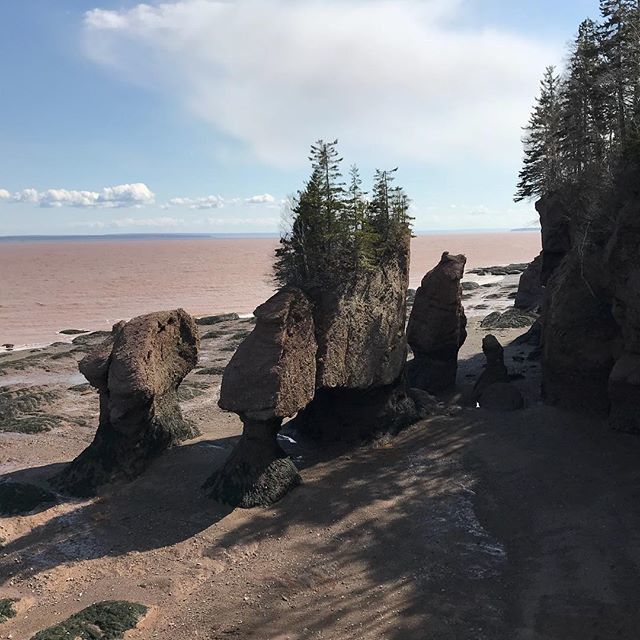 NRG4ME's tweet photo. One of my fave places in my “backyard” #beautifuldestinations #hopewellrocks #hopewellcape #beautyallaroundus #iphone7 #iphonephotography @destinationnb @noisenb @tourism.nb @parks.canada #outdoors #fitfirefighter #fitmedic #exercise #exploring #nature https://t.co/s2hYMtDgsu https://t.co/Q8F0zmo4pJ