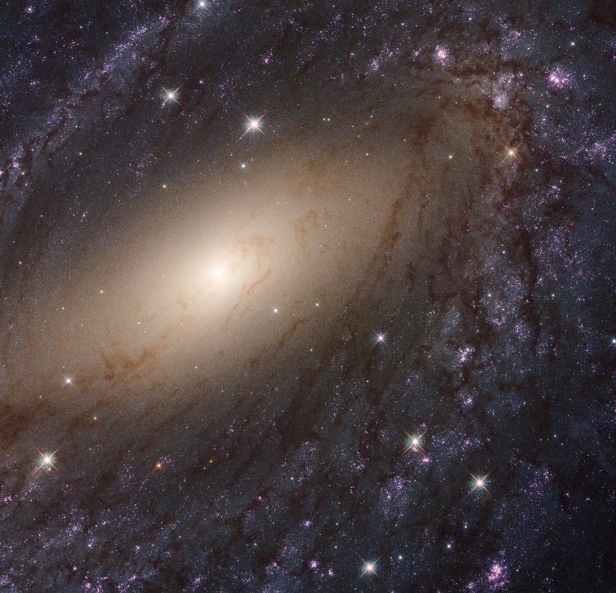 HUBBLE_space's tweet photo. Hubble shows the local Universe in ultraviolet. The new catalogue contains about 8000 clusters and 39 million hot blue stars.
Credit: @NASA, @ESA, LEGUS team
https://t.co/RWeXHnNJDu https://t.co/2Uh6hMlJER